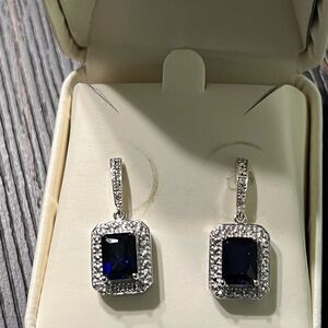 Elegant Silver and Blue Earrings